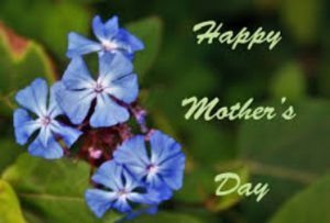 Happy Mother's Day