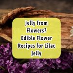 lilac-jelly