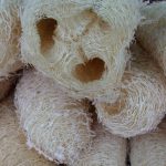 luffa