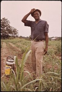 Pesticide worker