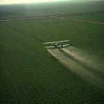 spraying pesticides