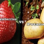 straberrypotatoes