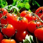 tomatoes-1280859_1280