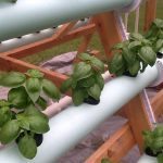 vertical-hydroponic-system-10