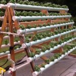 vertical-hydroponic-system-9