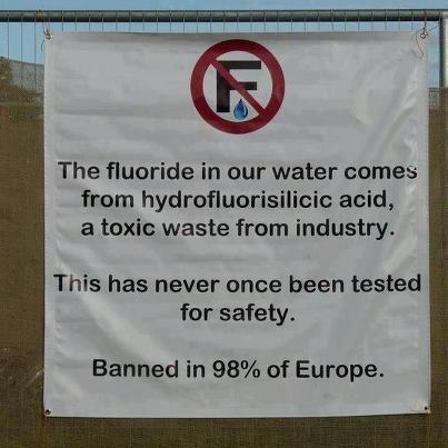 fluoride studies