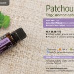 WA patchouli