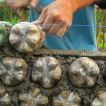 plastic bottle bricks