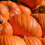 pumpkin-2752071_1280