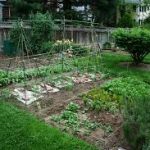 home garden