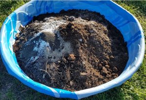soil mix low-water garden texas 