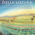 stella natura