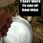 Ways to Use Up Raw Milk