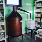 mint essential oils italy