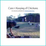 chicken keeping ebook cover