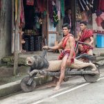 Wood Bikes