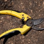 Pruning shears