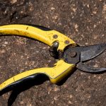 secateurs-3143345_640