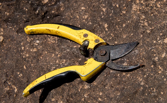 Pruning shears