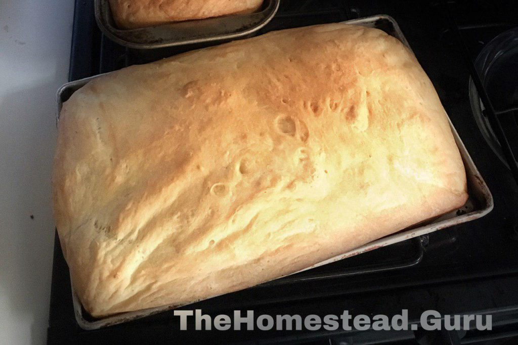 organic bread you can make at home