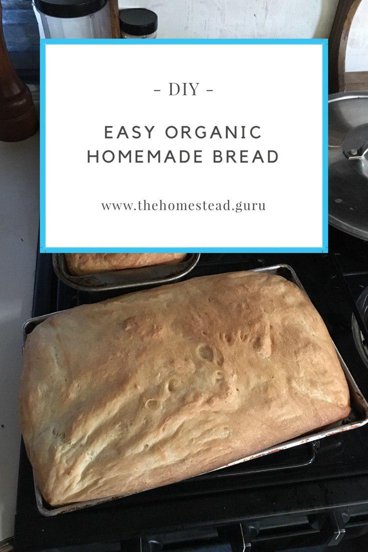 organic bread you can make at home