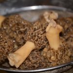 Morel Mushroom dry