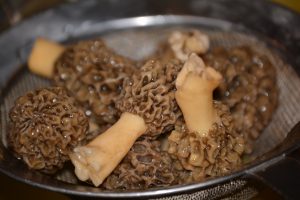 Morel Mushroom dry