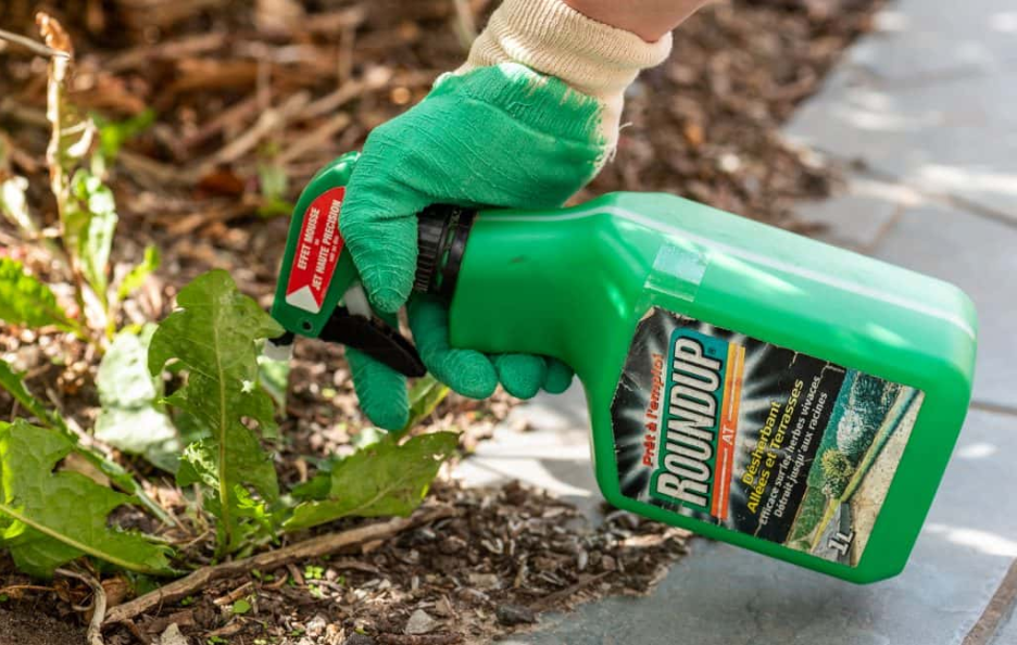 Roundup Weedkiller