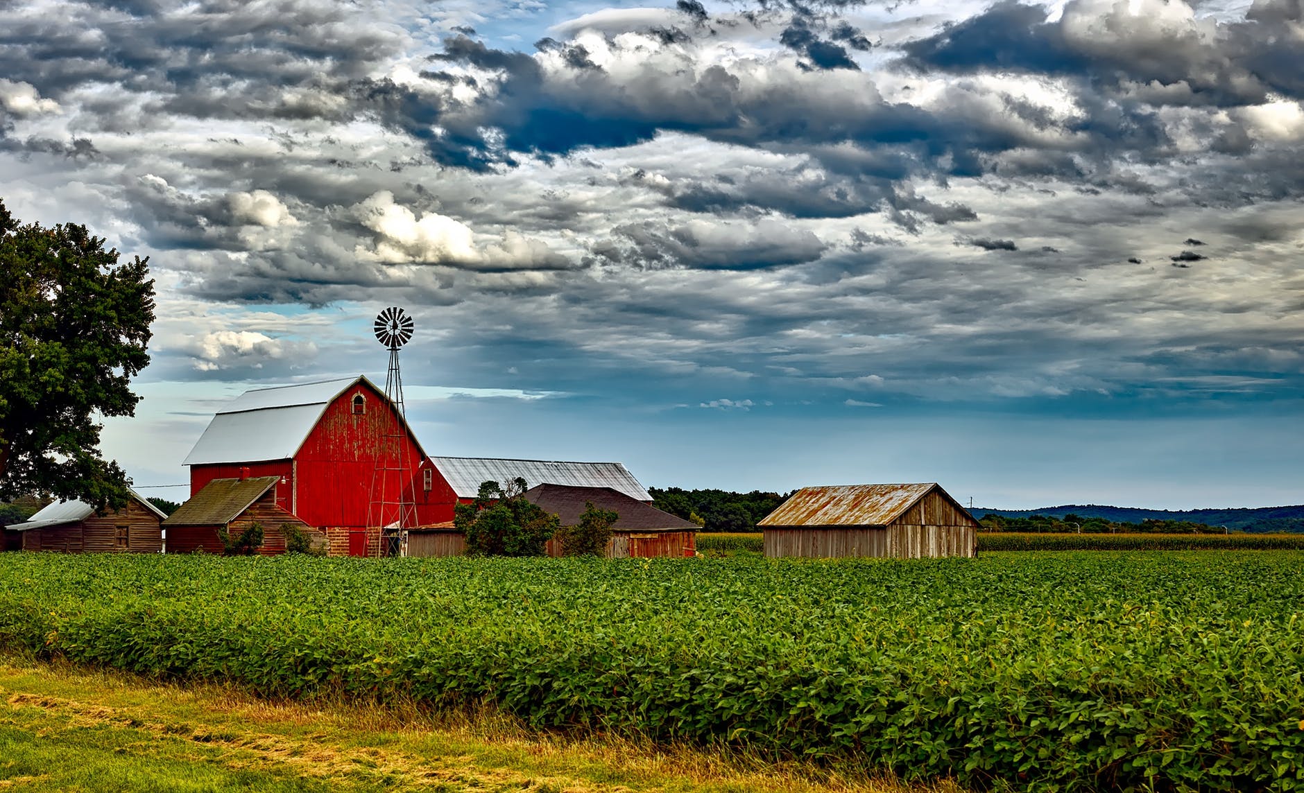 maintenance summer homestead