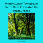 Permaculture Techniques Could Have Prevented the Brazil Fires