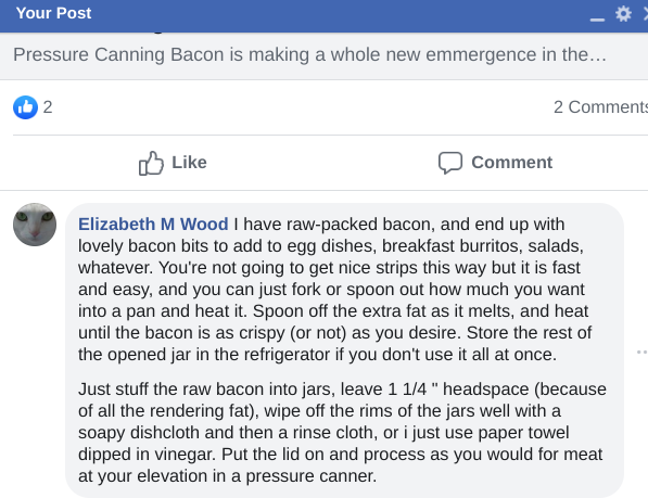 canning bacon