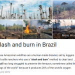 slash and burn brazil
