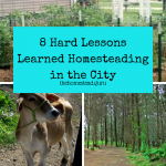 8 Hard Lessons Learned Homesteading in the City