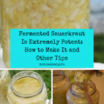 Fermented Sauerkraut Is Extremely Potent_ How to Make It and Other Tips