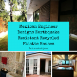 Mexican Engineer Designs Earthquake Resistant Recycled Plastic Houses