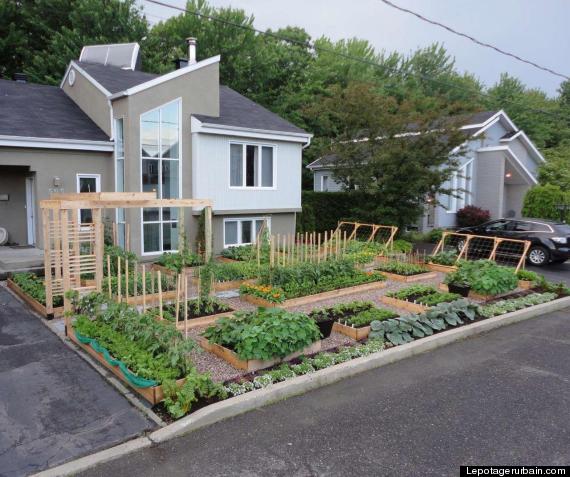 florida lifts ban on front yard gardens