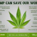 hemp