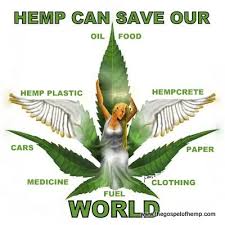 hemp