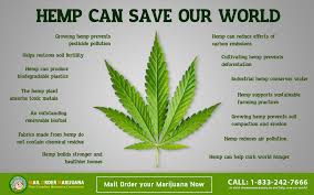 hemp