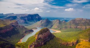 ethiopia plants trees