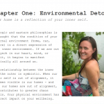 Whole Life Detox Course by Catherine Bonadin - Image 2
