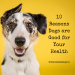 10 Reasons Dogs are Good for Your Health