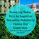 Breaking News_ Bill to Legalize Cannabis Federally Passes Key Committee