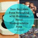 Ikea Replaces Foam Packaging with Mushroom Based Biodegradable Foam