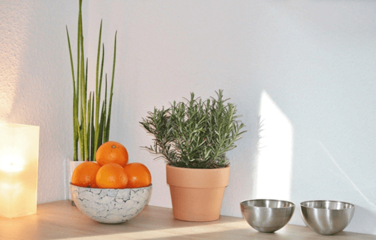 orange rosemary