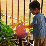 children garden