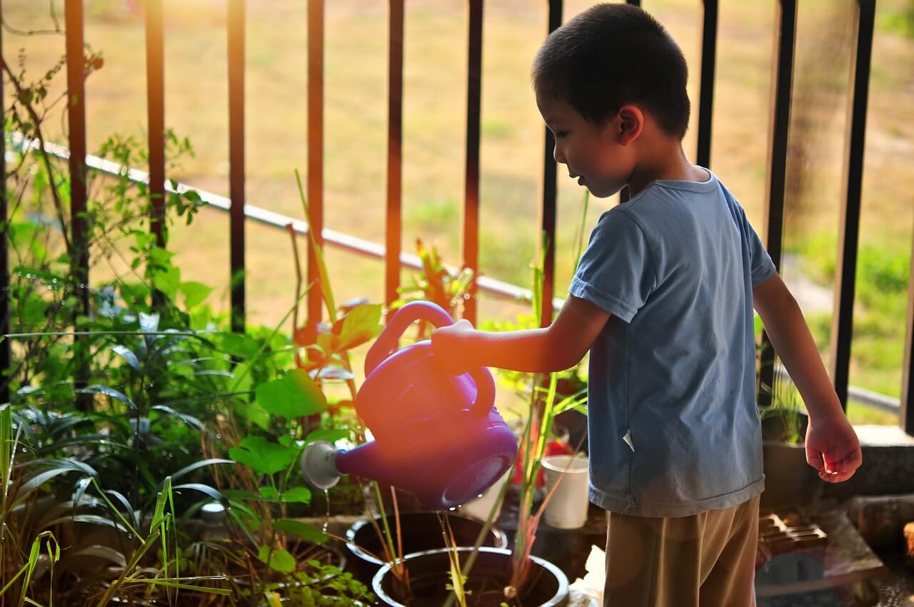 children garden