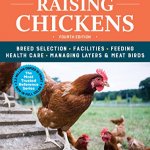 Raising Chickens