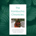 kombucha cover